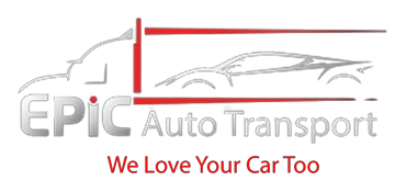 Logo PNG